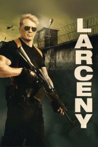 LARCENY (2017)